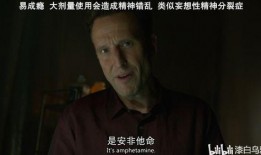 犯罪心理13季在线观看,心理探案新篇章，在线观看揭秘罪案心理